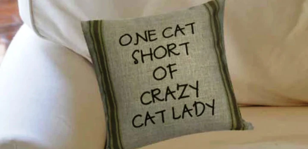 Crazy (for) Cats Lady