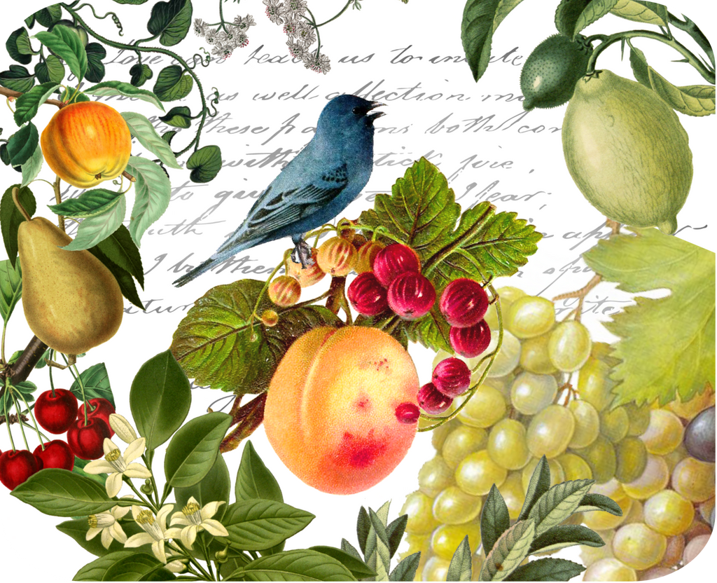 Blue Bird and Fruit Botanical Hot Plate/Mouse Pad 9 1/4 x 7 3/4 - Golden Hill Studio