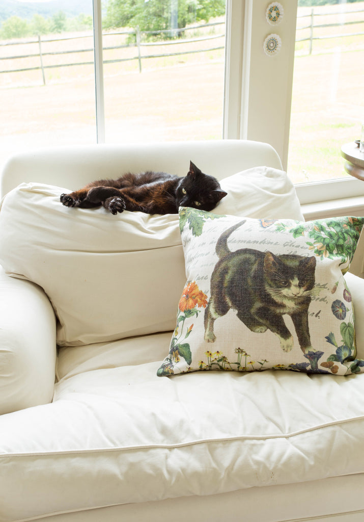 For the Love of Cats