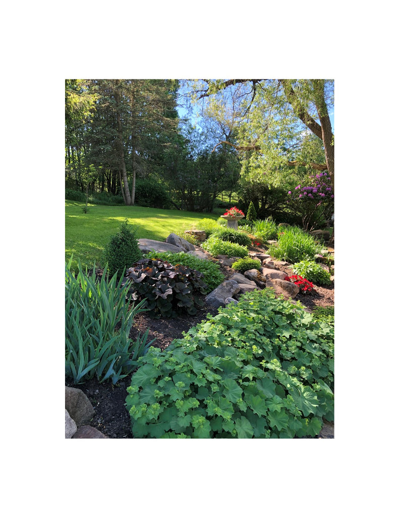 3-Season Perennial Gardens