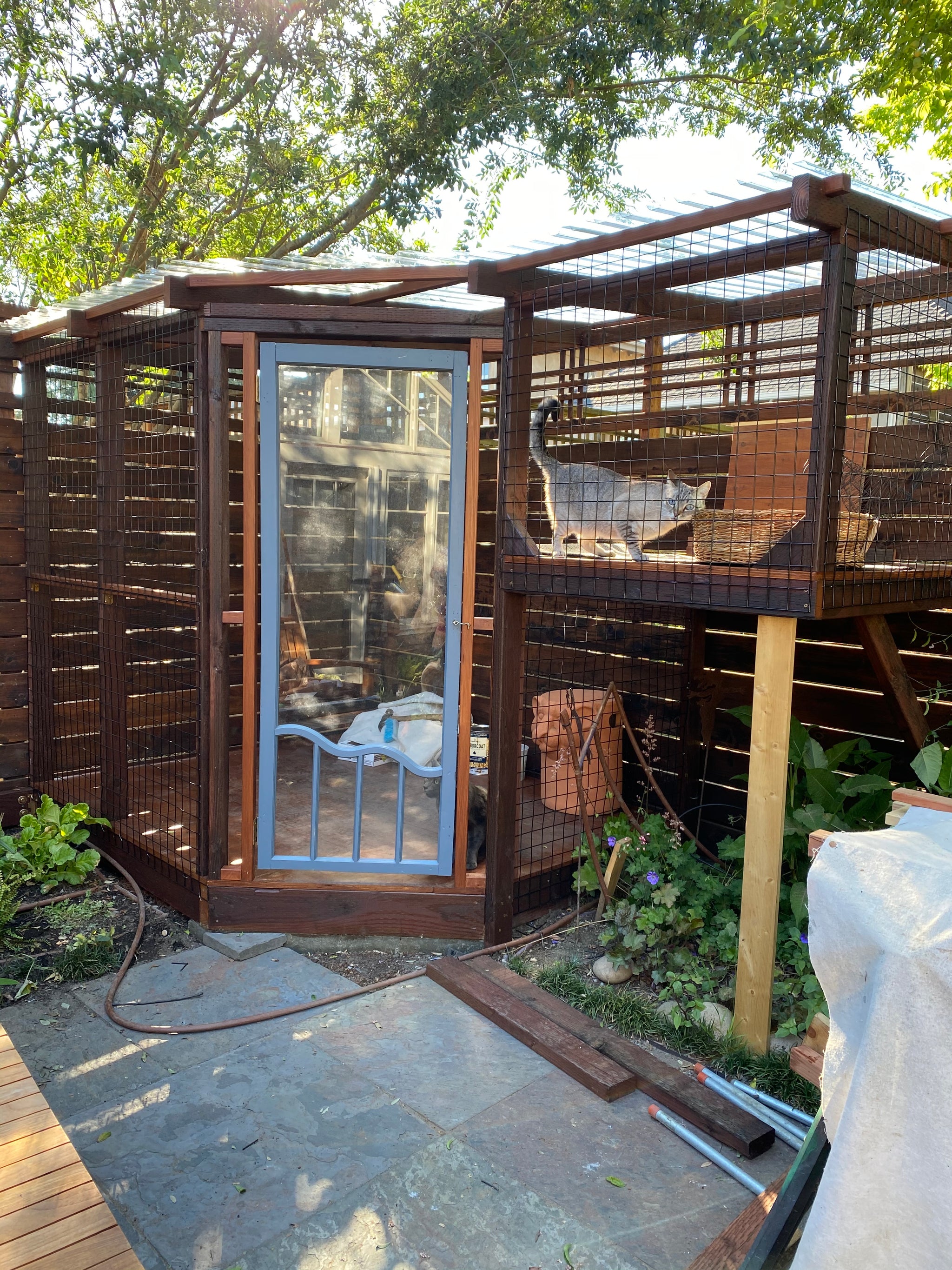 Outdoor Entertaining The Catio Golden Hill Studio