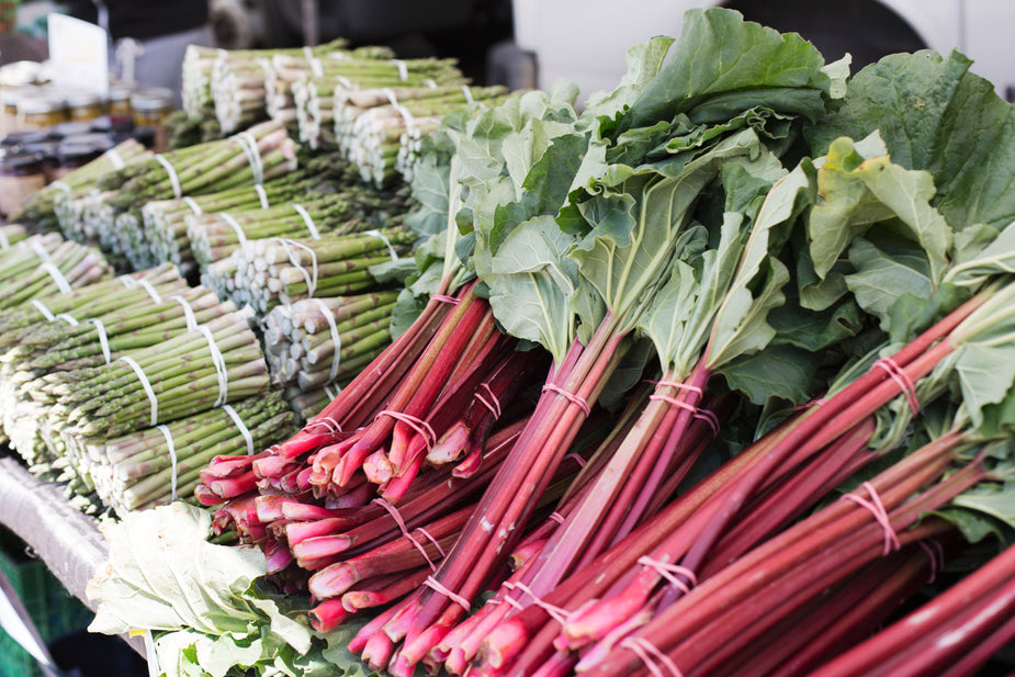 Spring Delights
