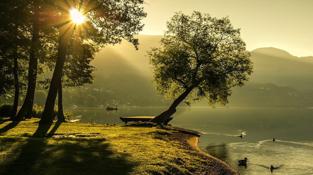 Summer Solstice