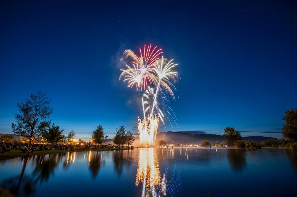 Your Pets & Fireworks
