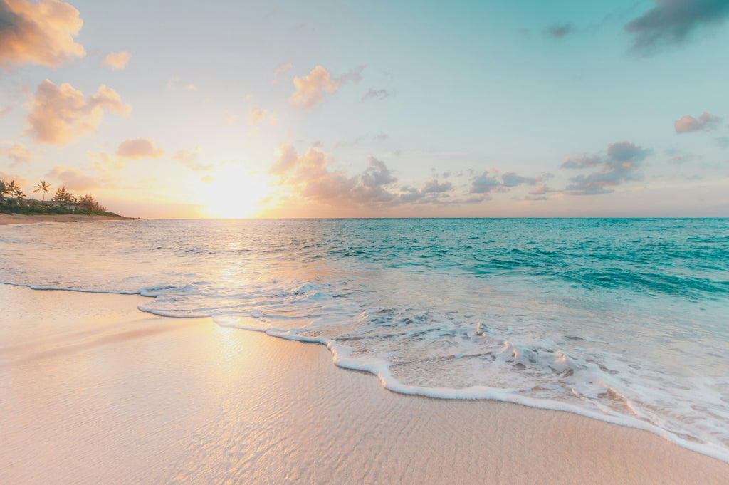 Coastal Dreaming