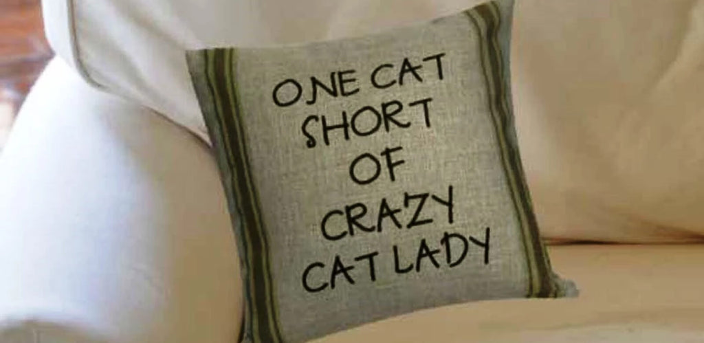 Cute Sayings Pillows Collection