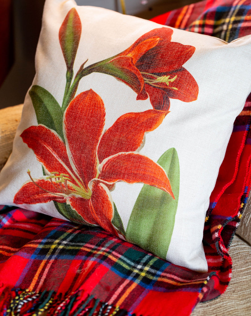 Amaryllis Pillow 18" x 18" - Golden Hill Studio
