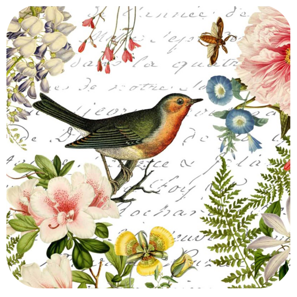 Bird Floral Coaster S/6 - Golden Hill Studio