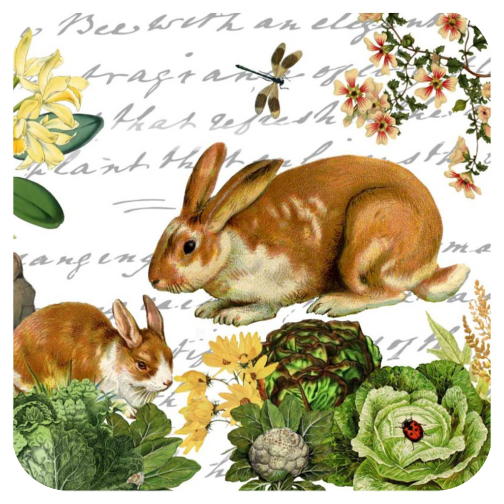 Bunny & Dragonfly Coaster S/6 - Golden Hill Studio
