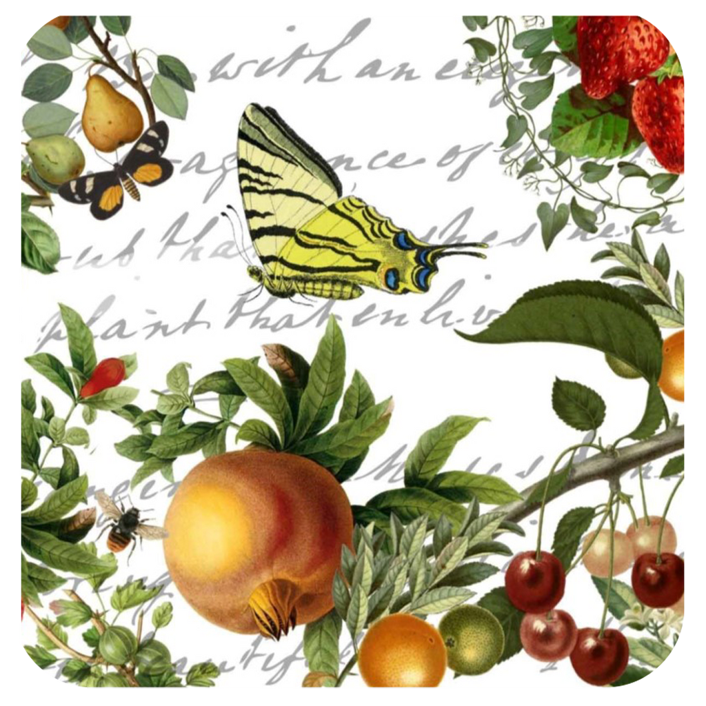 Butterfly & Fruit Coaster S/6 - Golden Hill Studio