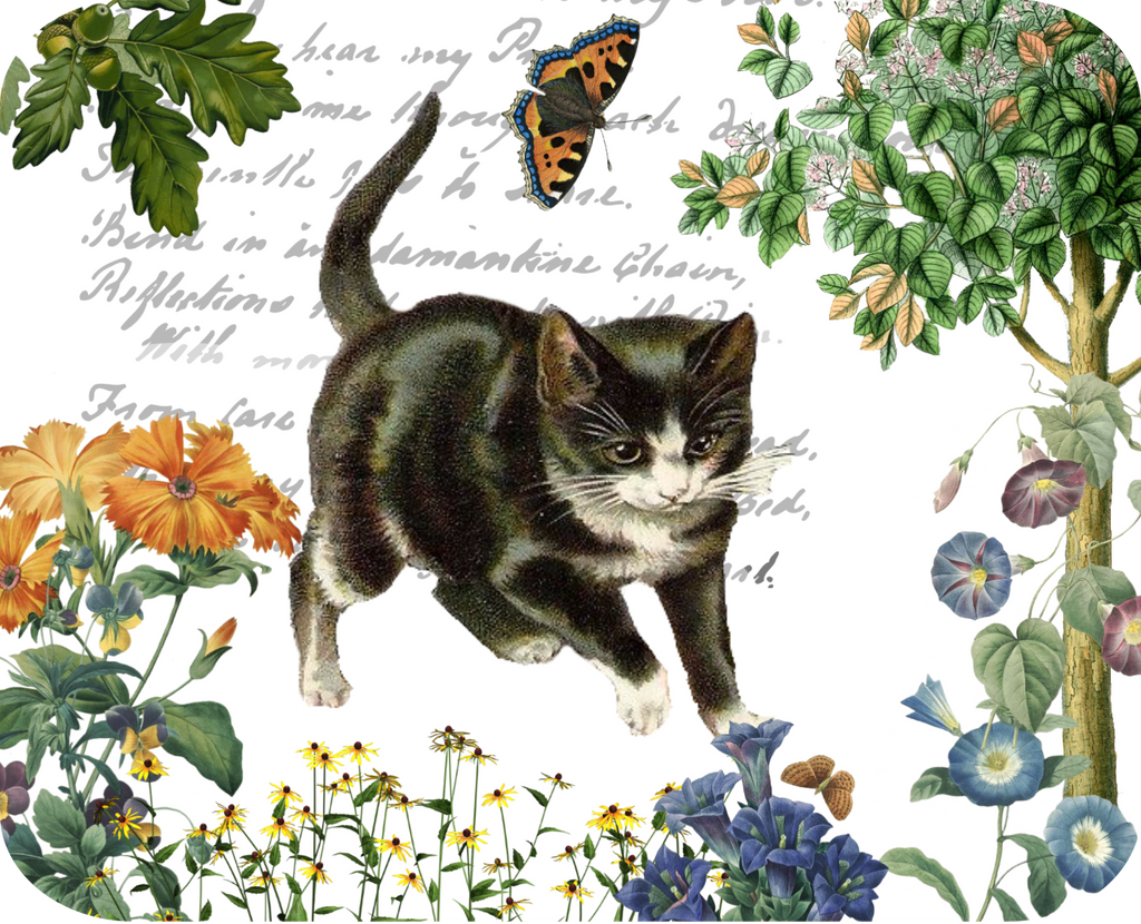 Kitten & Butterfly Botanical - Golden Hill Studio