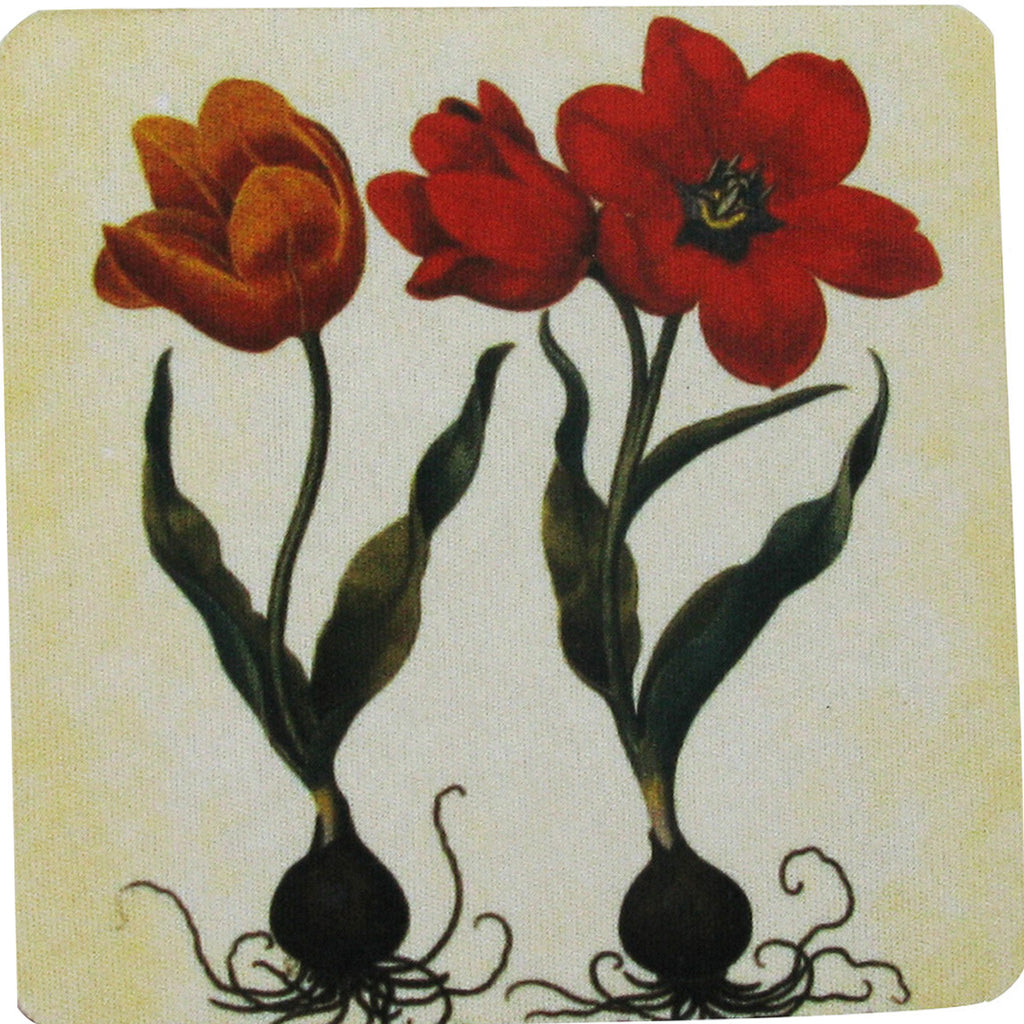 Tulip Set Coaster S/4 - Golden Hill Studio