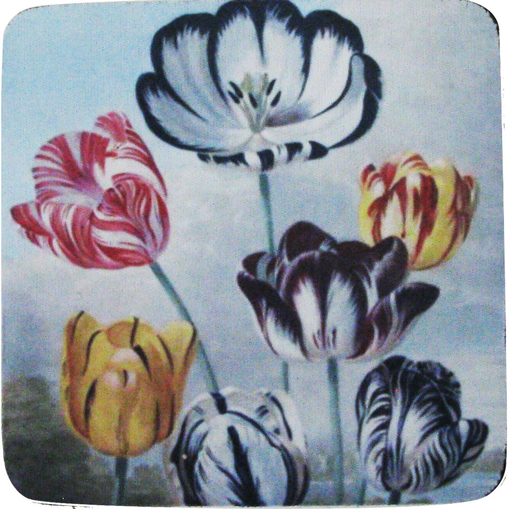 Tulip Variety Coaster S/4 - Golden Hill Studio