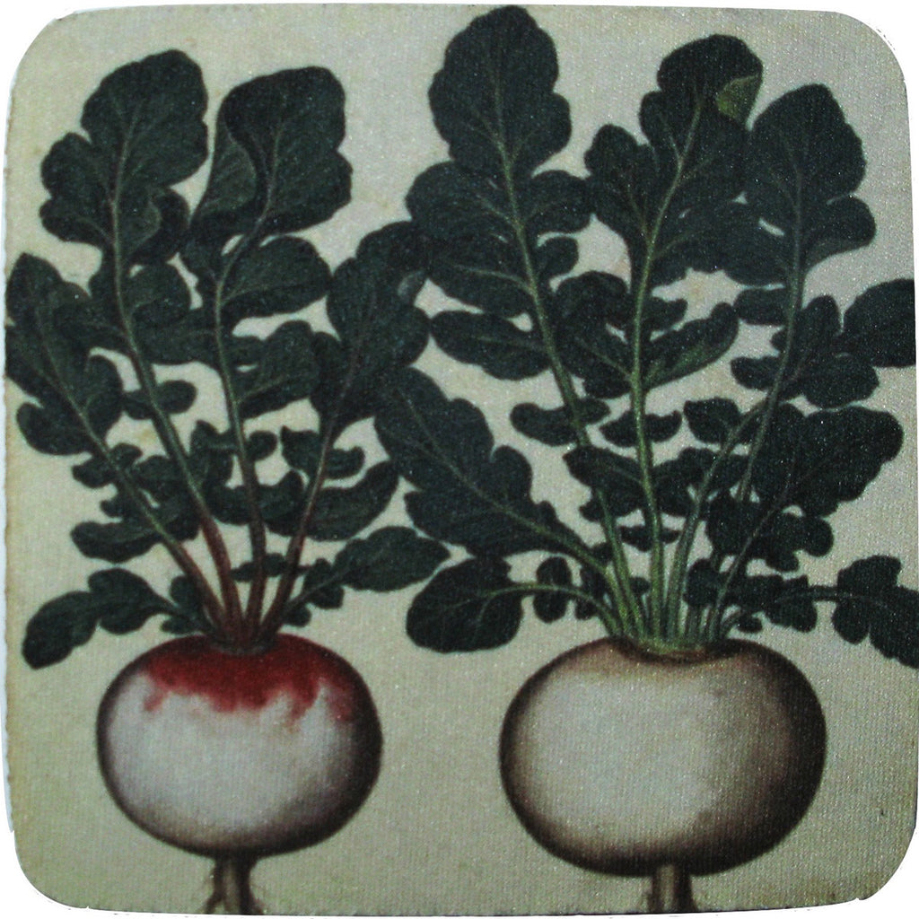 Radishes Coaster S/4 - Golden Hill Studio