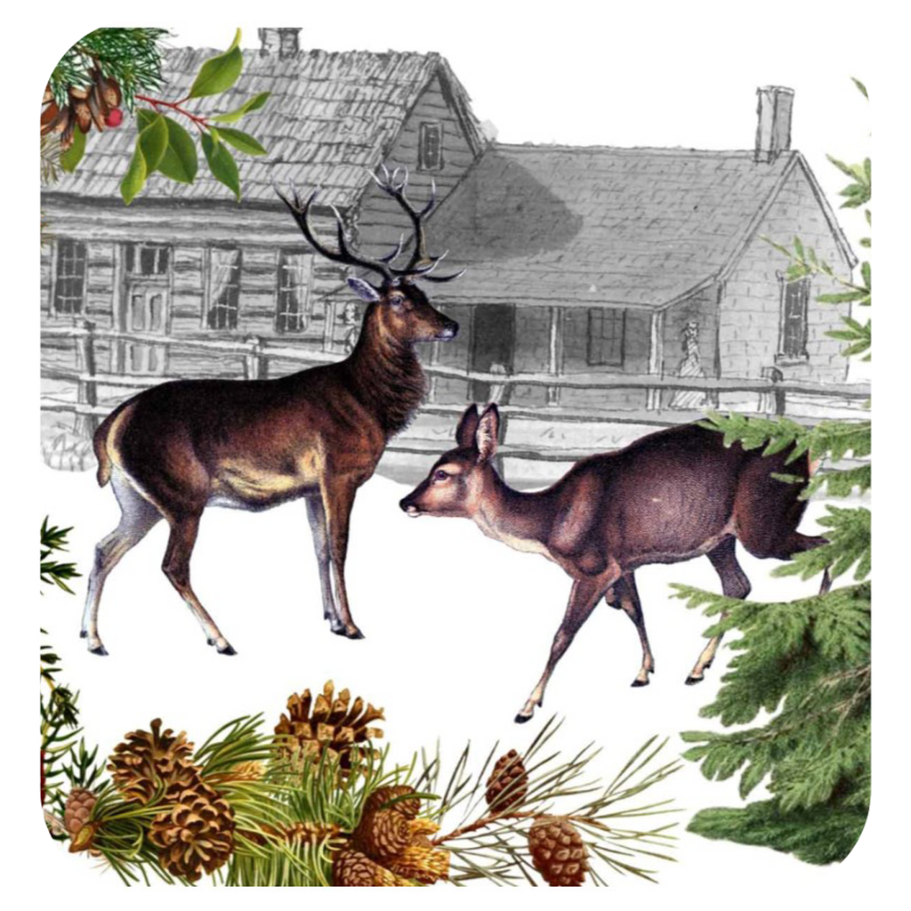 Deer & Doe Coaster S/6 - Golden Hill Studio