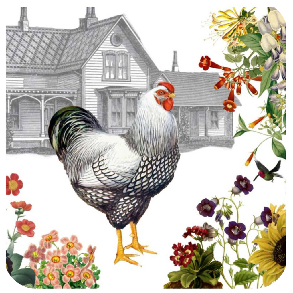 Hen & Farmhouse Coaster S/6 - Golden Hill Studio
