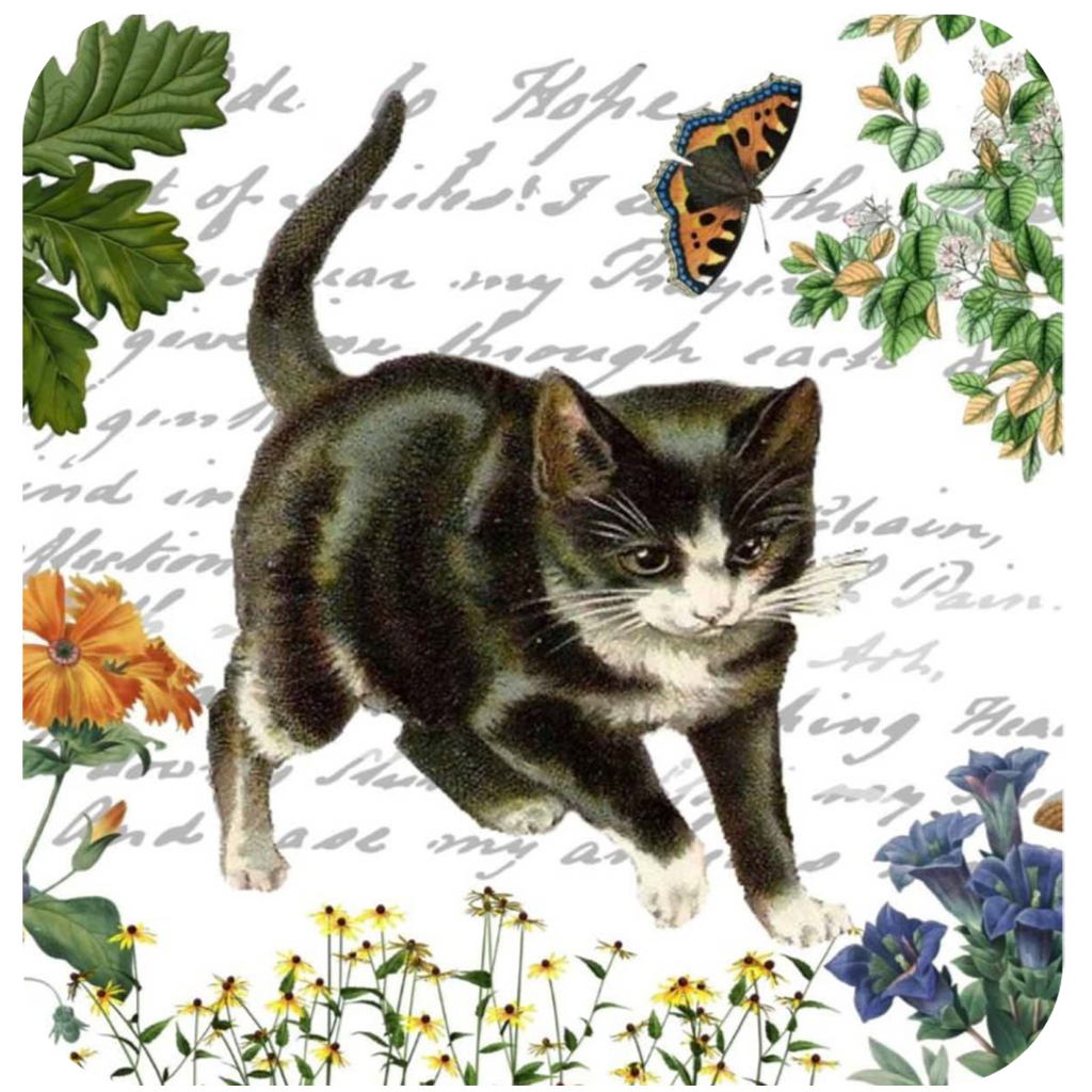 Kitten & Butterfly Coaster S/6 - Golden Hill Studio