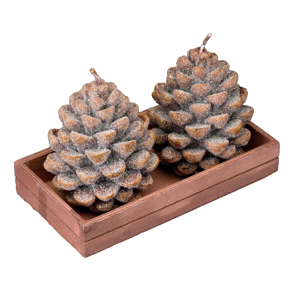 Pine Cone: Candle S/2 Medium - Golden Hill Studio
