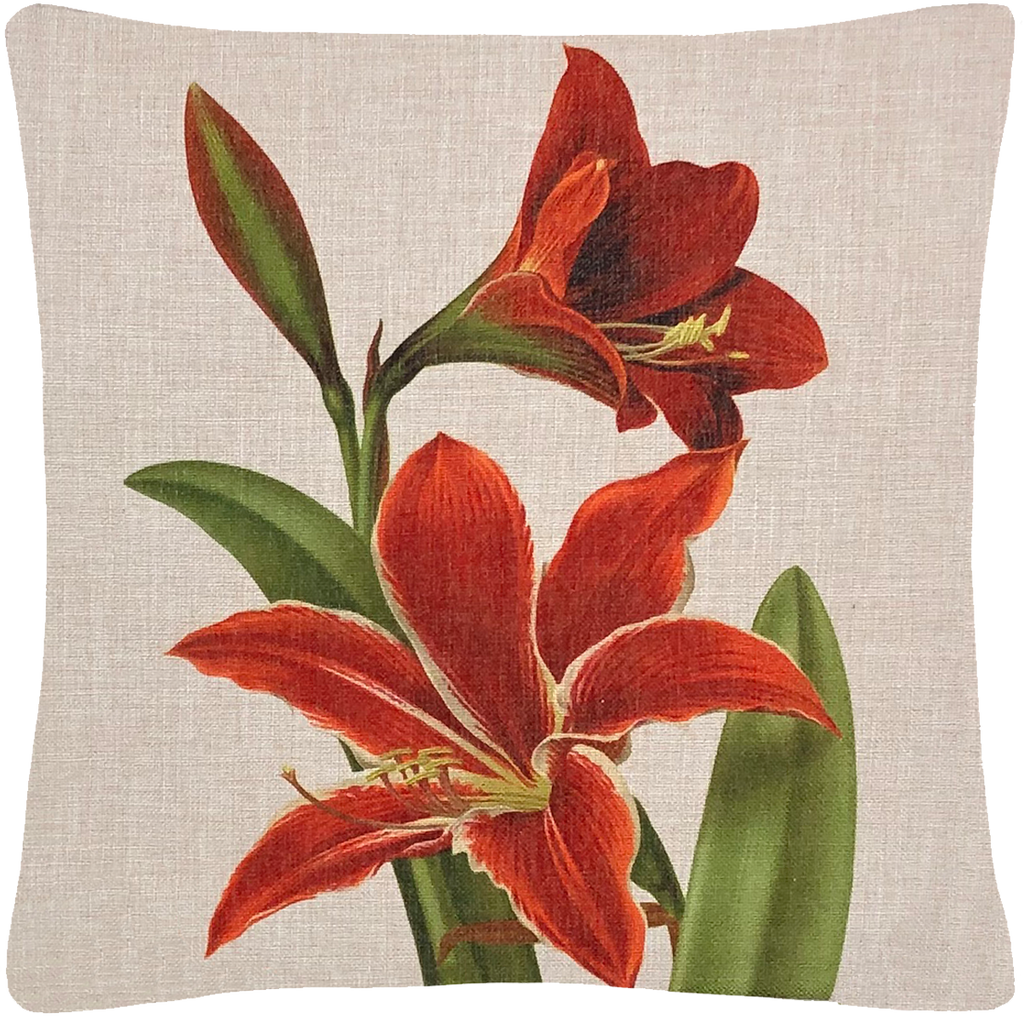 Amaryllis Pillow 18" x 18" - Golden Hill Studio