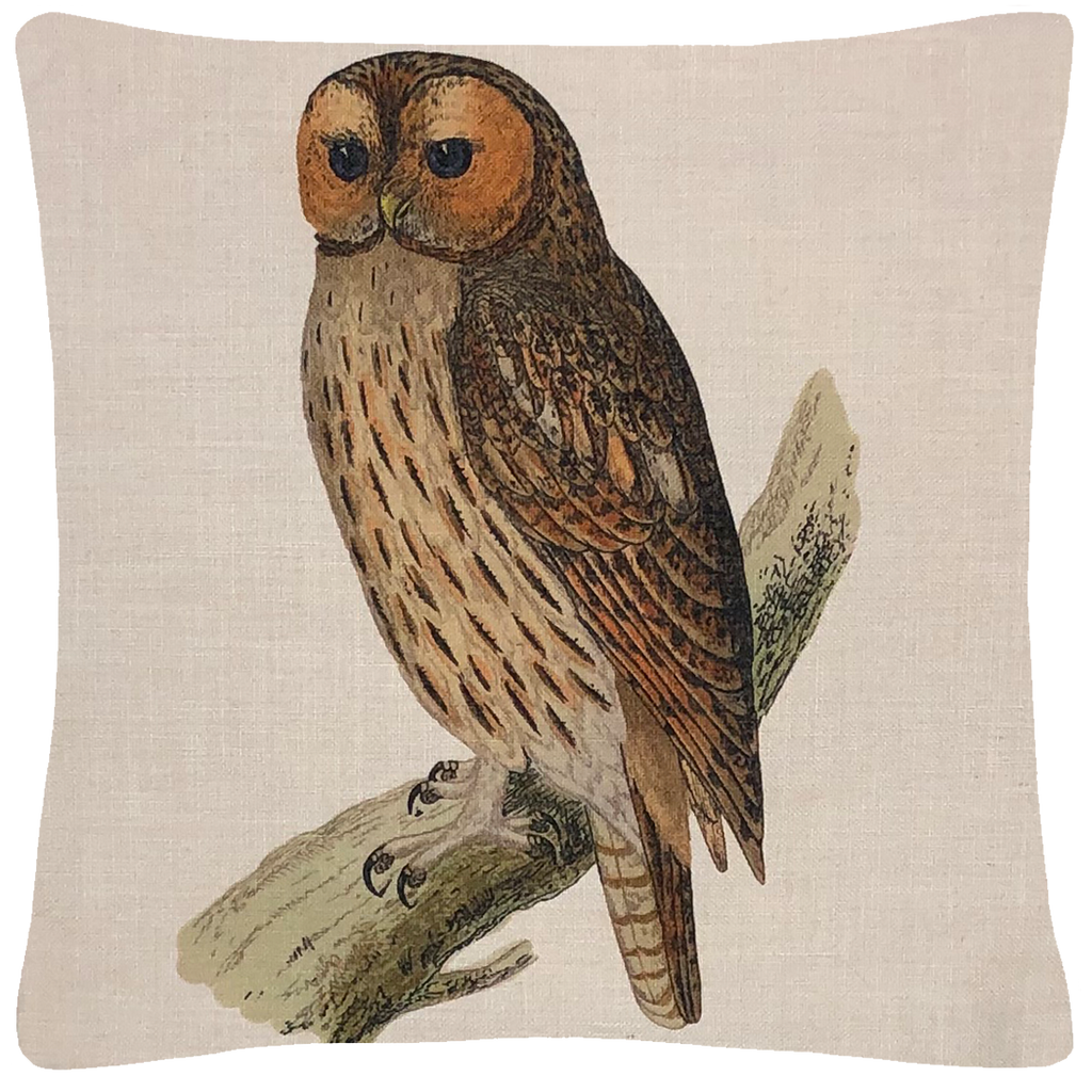 Owl Pillow  18" x 18" - Golden Hill Studio