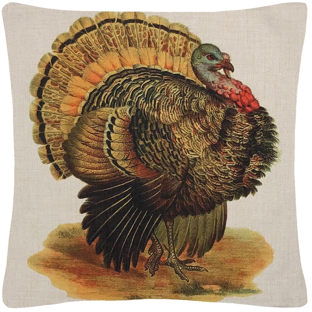 Turkey Pillow "18 x 18" - Golden Hill Studio