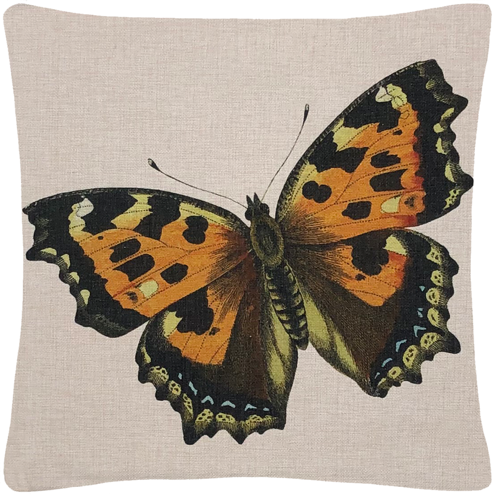 Butterfly Throw Pillow 18 x 18 - Golden Hill Studio