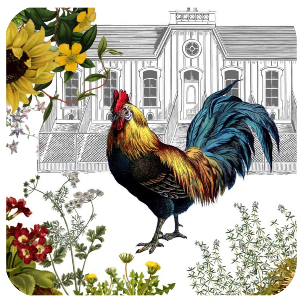Rooster & Hen House Coaster S/6 - Golden Hill Studio