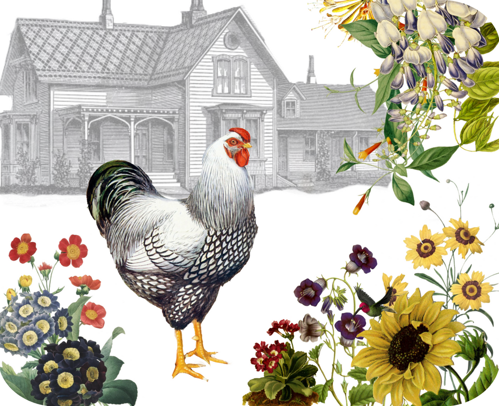Hen & Farmhouse Botanical Hot Plate/Mouse Pad  9 1/2" x 7 3/4" - Golden Hill Studio