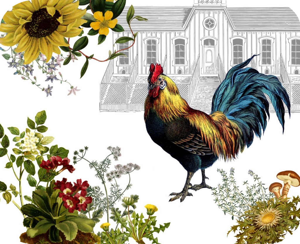 Rooster & Hen House Botanical Hot Plate/Mouse Pad  9 1/2" x 7 3/4" - Golden Hill Studio
