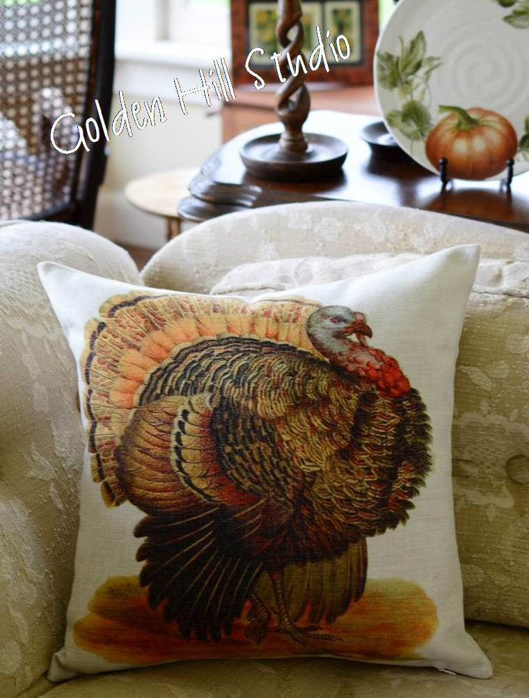 Turkey Pillow "18 x 18" - Golden Hill Studio