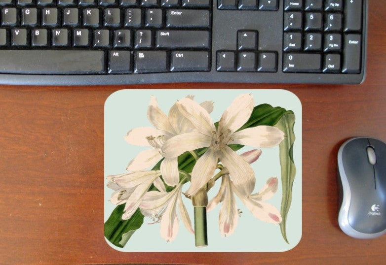 White Amaryllis Hot Pads/Mouse Pads - Golden Hill Studio